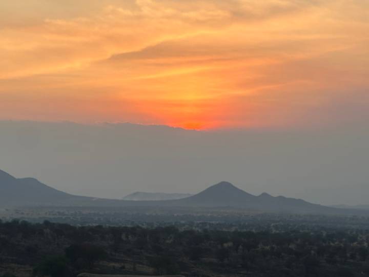 Serengeti plains silhouetted against a vivid orange sunset with soft mountain outlines.