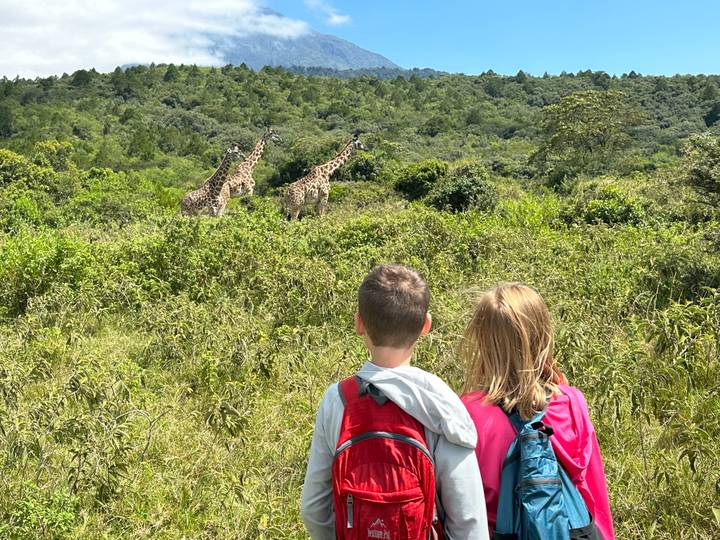 Two children with backpacks watch a trio of giraffes browsing in lush bushland.