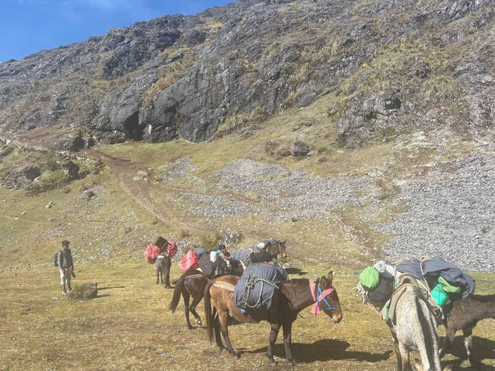 Trekkers and pack horses pause on a grassy Andean slope beneath rocky cliffs, loading gear for the journey.