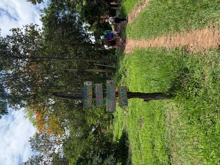 A hand-painted wooden sign reading 'Welcome to organic farm' stands beside a dirt path leading into trees.