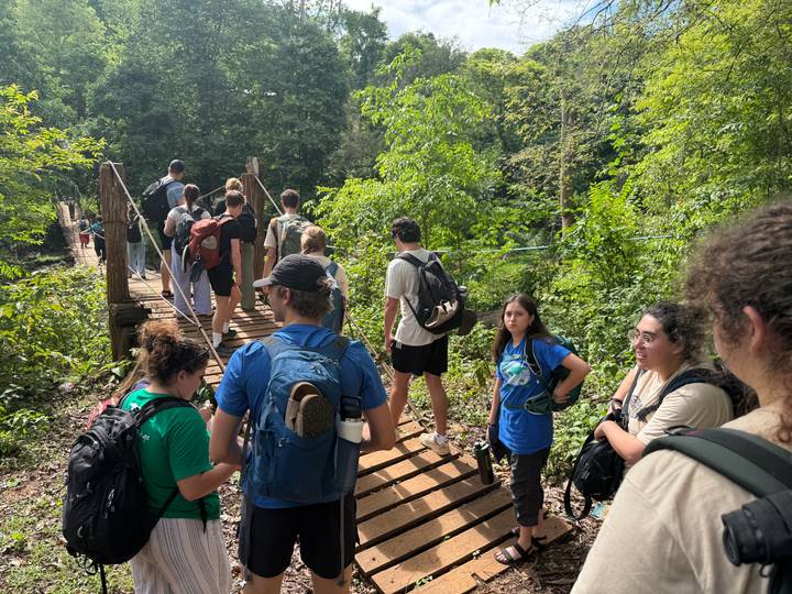 A line of hikers cross a wooden suspension bridge into dense tropical forest.