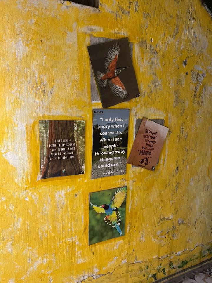 Wall painted yellow with assorted motivational posters about environment and recycling