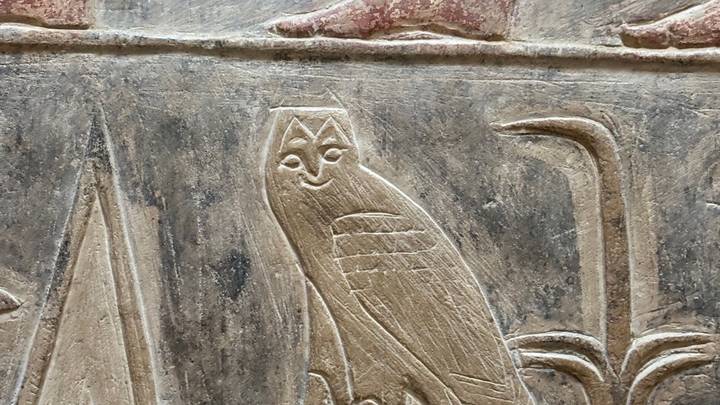 Close-up of carved owl hieroglyph on an ancient Egyptian stone relief.