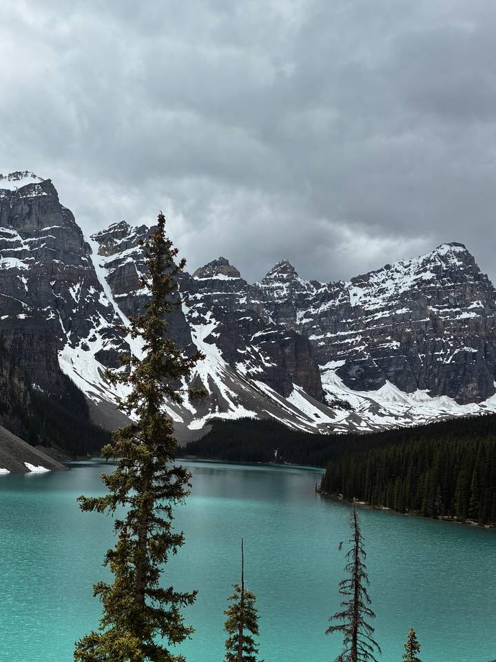 Moody scene of Moraine Lake surrounded by steep snowy peaks with a lone pine in the foreground.