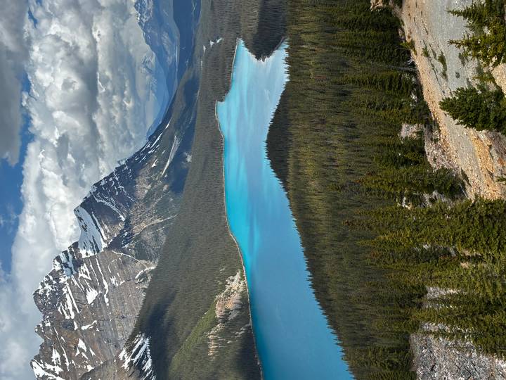 Vertical vista of turquoise Peyto Lake encircled by dense forest and jagged Rockies.