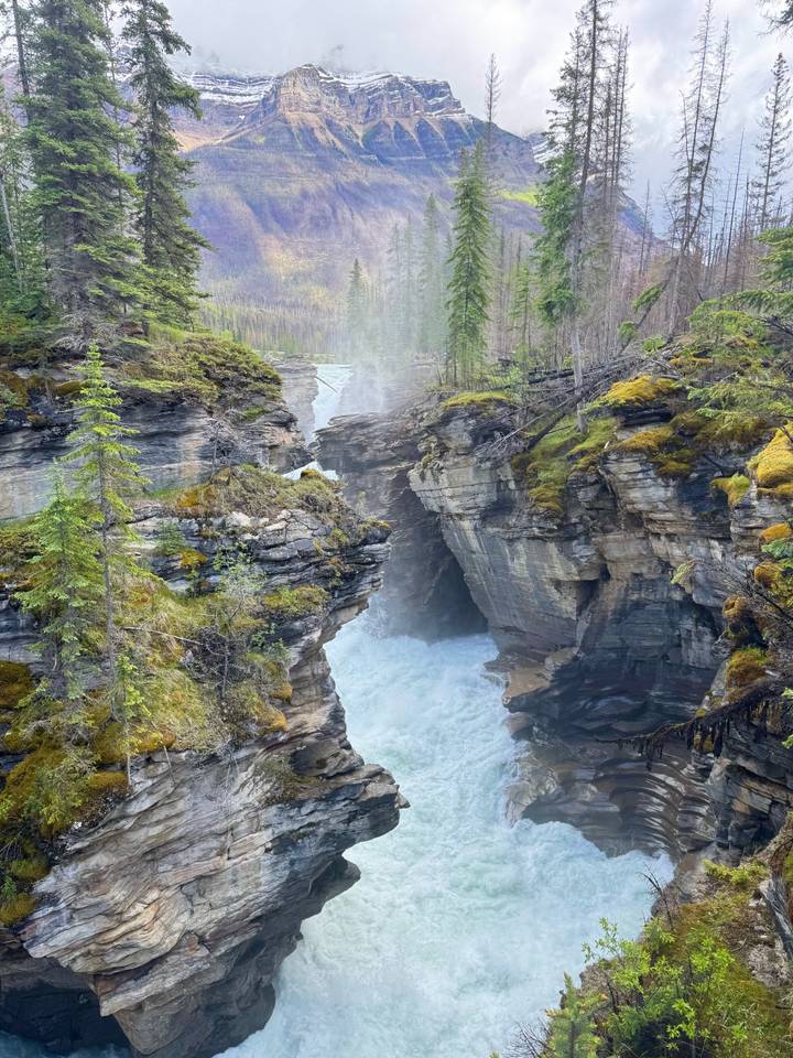 Dramatic canyon with powerful waterfall crashing between sheer rock walls covered in moss and evergreens.
