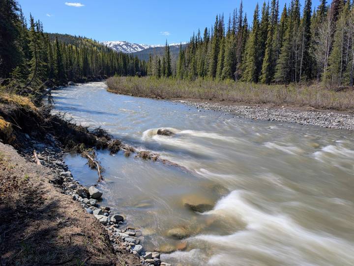 Fast-flowing forest river captured with silky motion blur beneath conifer-covered slopes.