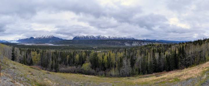 Panoramic view across dense evergreen forest toward rugged snow-streaked mountain range beneath brooding clouds.