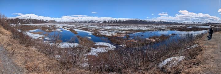 Vast tundra wetlands dotted with melting snow pools stretching toward a distant white mountain wall.