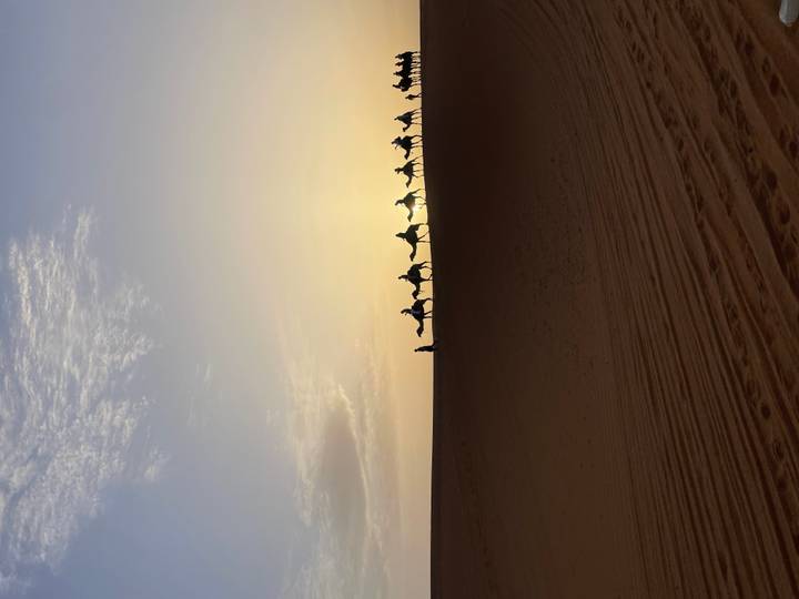 Long line of camels and riders on the crest of a high dune at dawn creating striking silhouettes.