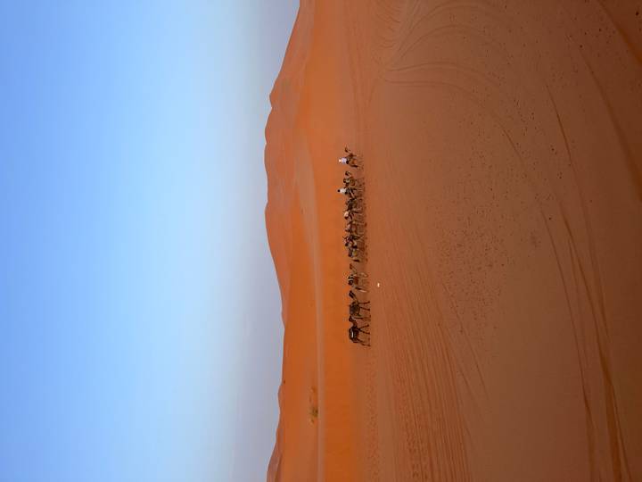 Distant line of camels trekking across vast orange dunes under a clear blue sky