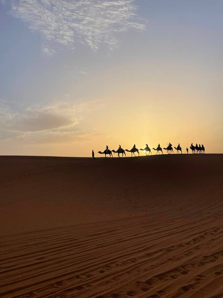 Silhouetted camel caravan cresting a dune against a dramatic desert sunset