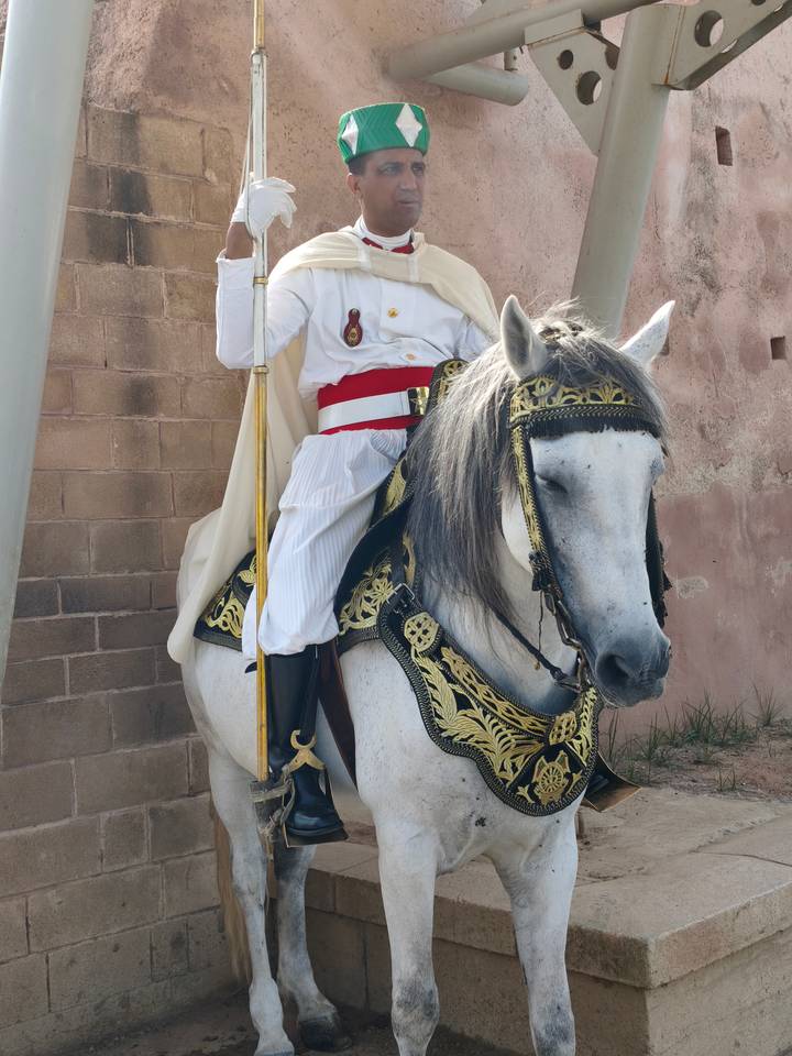 Royal guard in ceremonial dress sits mounted on an ornate white horse against a stone wall in Rabat.