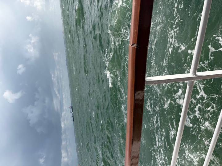 Choppy green sea viewed over the railing of a boat, with two cargo ships on the distant horizon beneath stormy clouds.