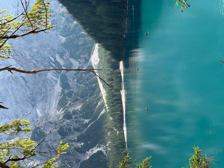 Emerald alpine lake ringed by dense pines and steep rocky slopes, seen through an overhanging branch.