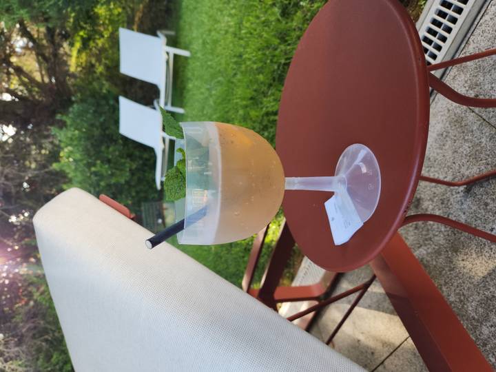 Refreshing cocktail in a stemmed glass beside pool loungers on green lawn