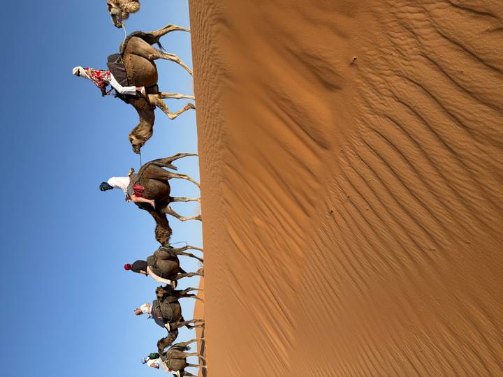 Line of riders on camels crest a golden dune against a deep blue desert sky.