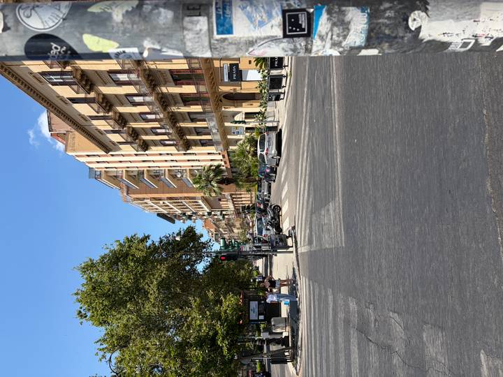 Busy Palermo street lined with historic apartment buildings and summer trees