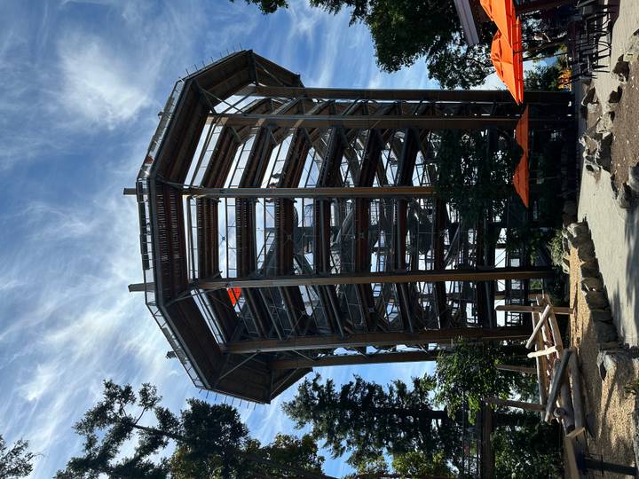 Tall spiral wooden tower walkway in forest park under streaky blue sky