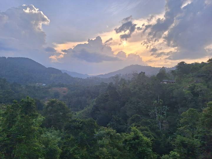 Sunset clouds glow above misty green mountains and dense forest valleys