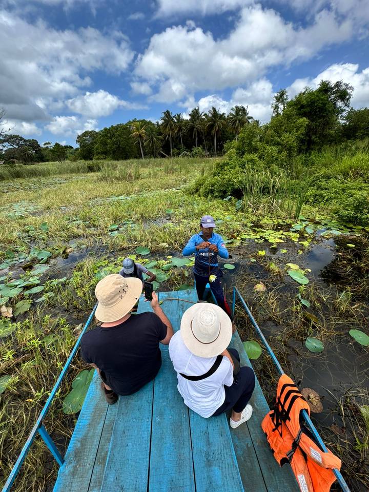 Guide shows a flower to tourists on a flat-bottomed boat amid marshy wetlands