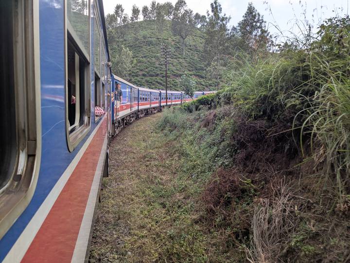Blue and red passenger train curves along lush green hillside while a traveller leans out of a carriage window