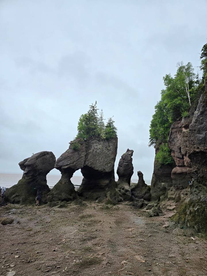 Iconic flowerpot sea stacks and rugged shoreline standing against a grey sky at low tide.