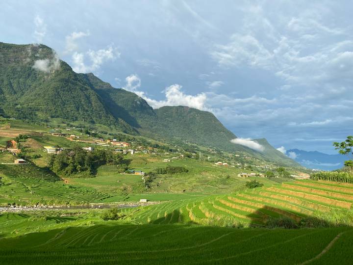 Verdant terraced rice fields cascade down a broad valley with mist-topped mountains and a bright blue sky.