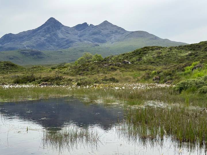 A tranquil pond fringed with cotton grass sits below rugged green mountains under a grey Scottish sky.