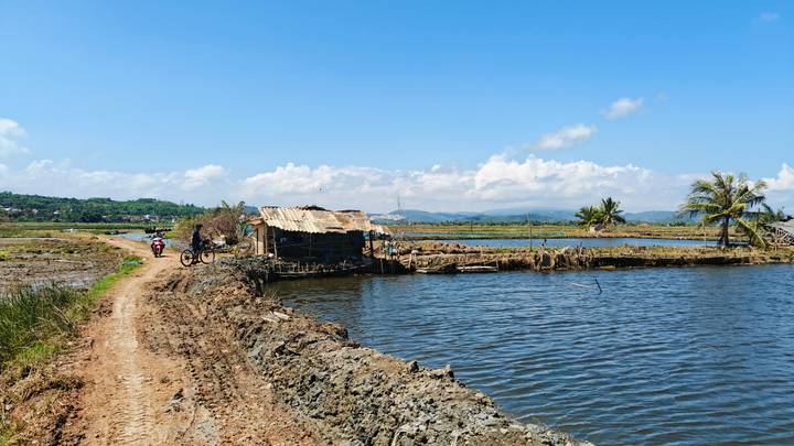 Rural dirt path along fish ponds and small shack with distant mountains under clear blue sky.