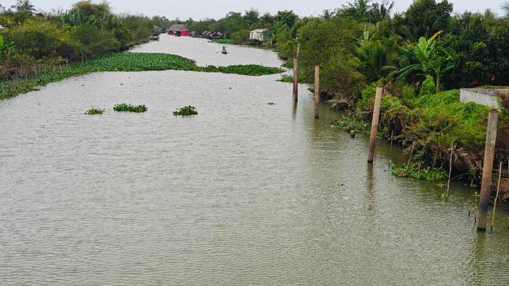 Quiet rural canal with floating vegetation and houses in the distance under cloudy skies.