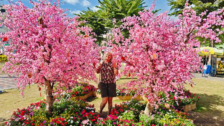 Traveler posing amid vibrant artificial cherry blossom trees and colorful floral displays in a public park.