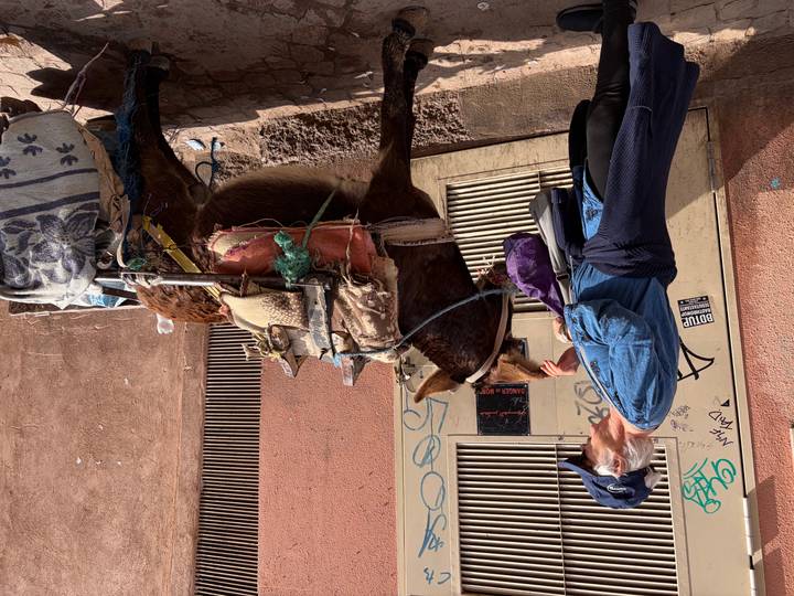 Traveler interacts with a donkey carrying goods down a narrow Moroccan street.