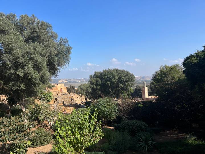 Lush garden and distant hills under clear blue sky near Moroccan ruins.