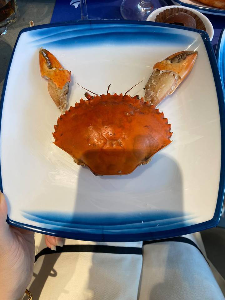 Whole cooked crab presented on a white plate ready to eat