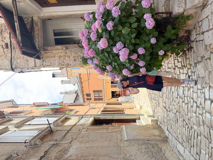 Traveler posing with hydrangeas on a cobblestone alley in Rovinj old town