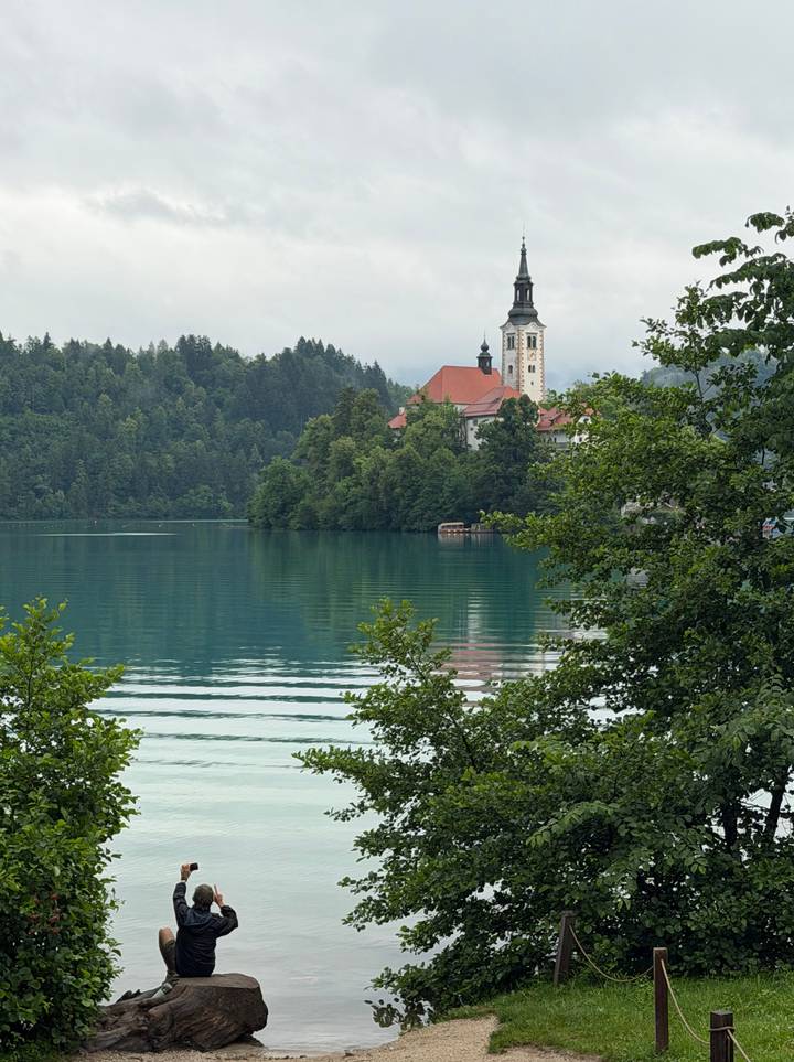 Tranquil view of Lake Bled with island church framed by lush trees