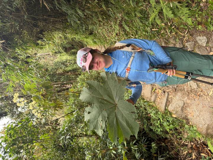 A young female hiker in trekking gear stands on a lush forest path holding an oversized leaf, smiling at the camera.