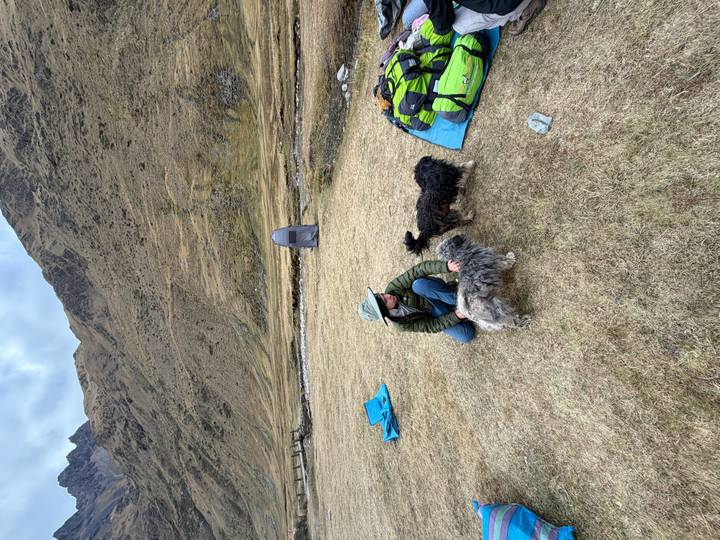A camper kneels to pet two friendly dogs on a grassy alpine campsite with rugged hills behind.
