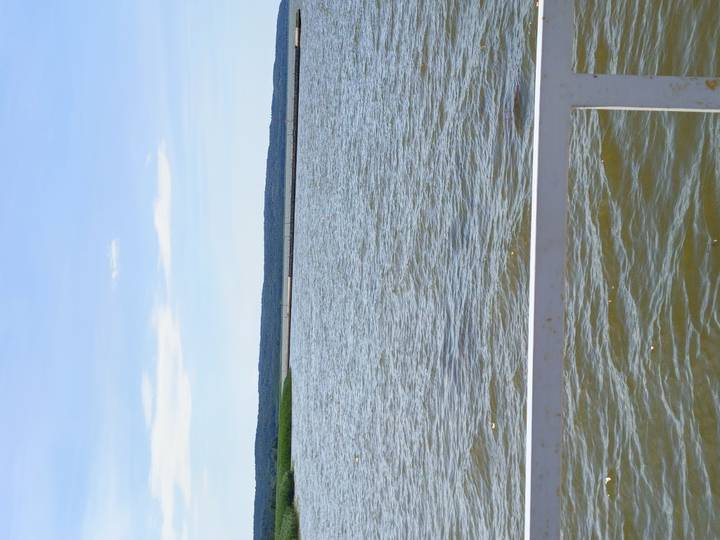 Open expanse of rippling water viewed from the railing of a boat with distant low shoreline.