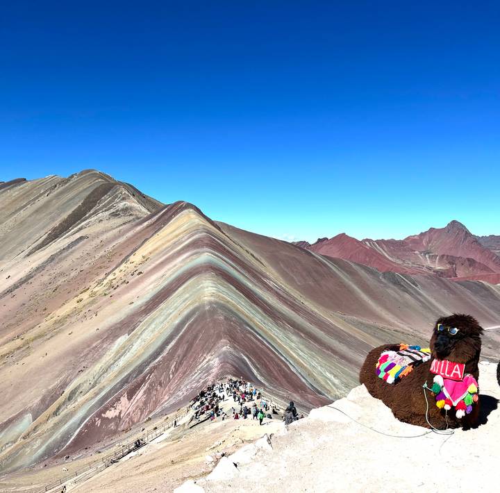 Striking multicoloured ridges of Rainbow Mountain under a clear blue sky with a decorative llama in the foreground.