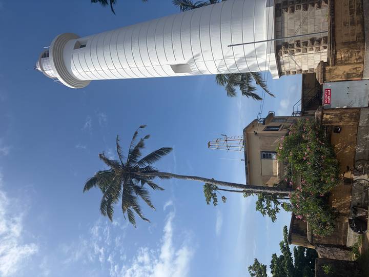 White lighthouse and swaying palm tree rise against a bright blue sky along coastal fort walls.