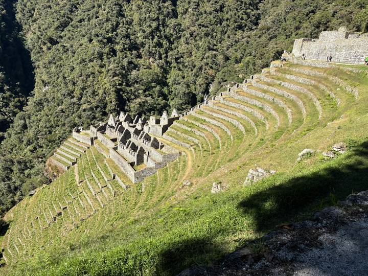 Stone terraces of Wiñay Wayna-style Inca ruins descending steep jungle slope.