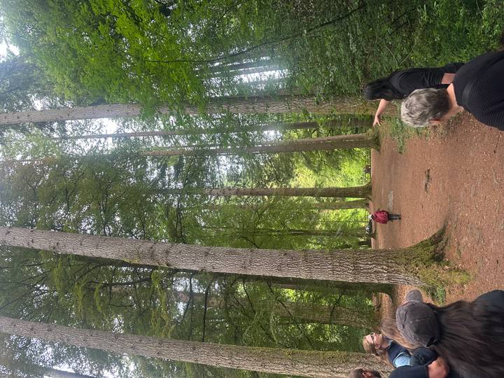 Tall Douglas fir trees line a forest trail as a guide gestures toward the canopy in The Hermitage.