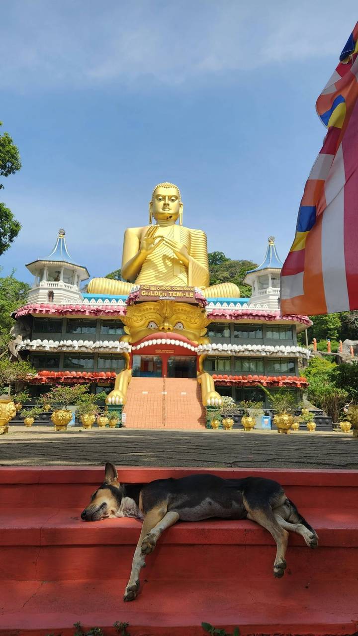 Entrance of Dambulla Golden Temple dominated by a giant seated gold Buddha with dragon-mouth gateway.