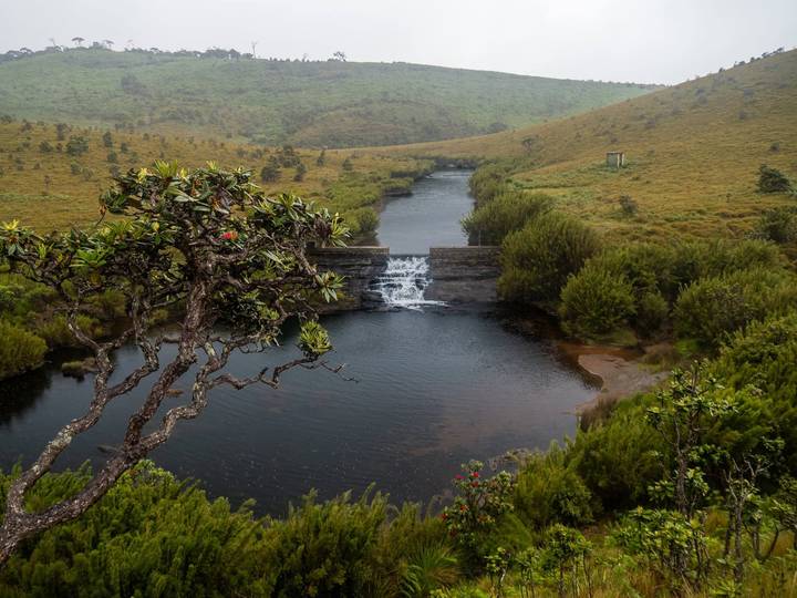 A small cascade pours over a stone weir into a tranquil pond surrounded by misty highland greenery.