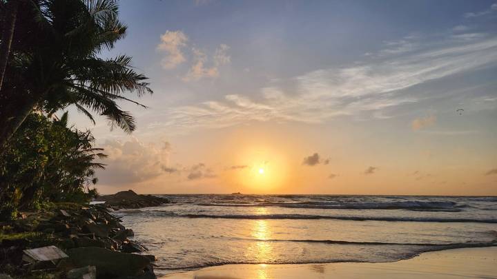 Golden sun sets over gentle waves and a palm-lined tropical shoreline.