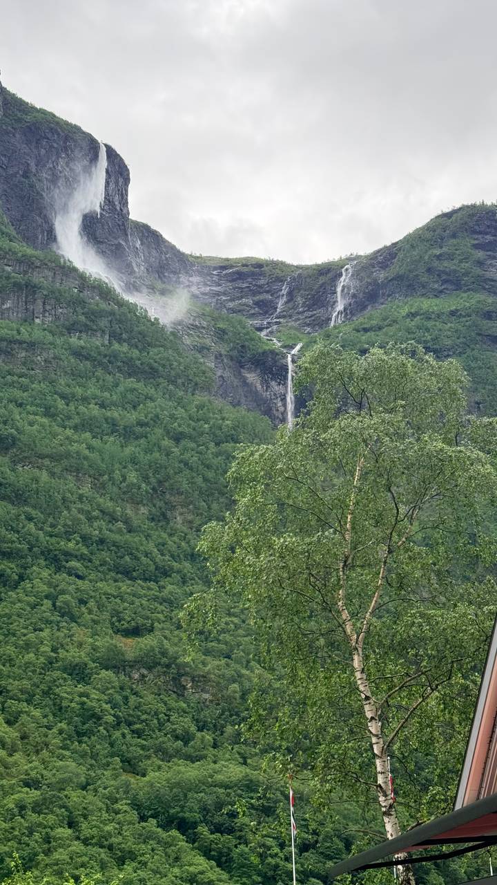 Verdant mountainside with a tall narrow waterfall dropping between lush trees in a Norwegian fjord landscape.
