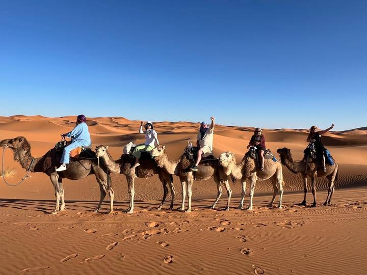 Five tourists on camels posing happily in a line against vast orange sand dunes.