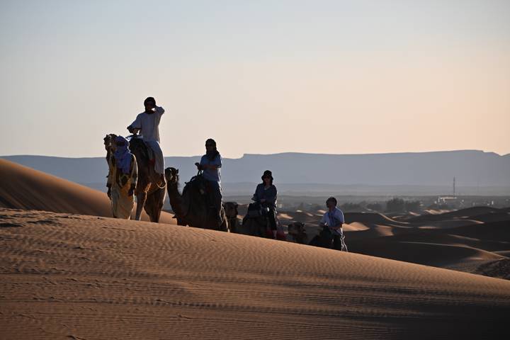 Camel caravan descending a dune in soft evening light with distant hazy mountains.